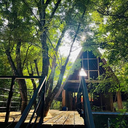 Habarana Tree House Mutu Village Zewnętrze zdjęcie