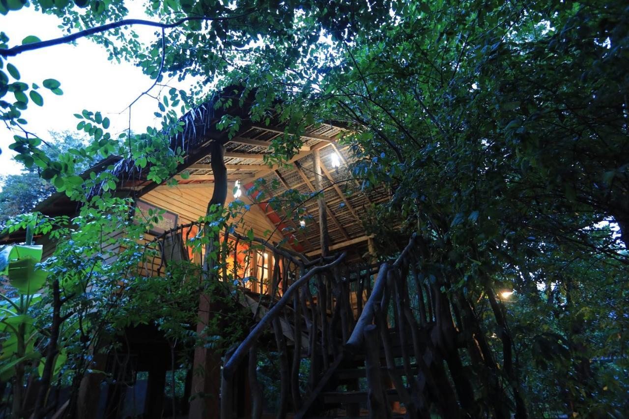 Habarana Tree House Mutu Village Zewnętrze zdjęcie