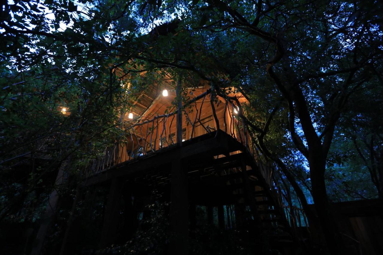 Habarana Tree House Mutu Village Zewnętrze zdjęcie