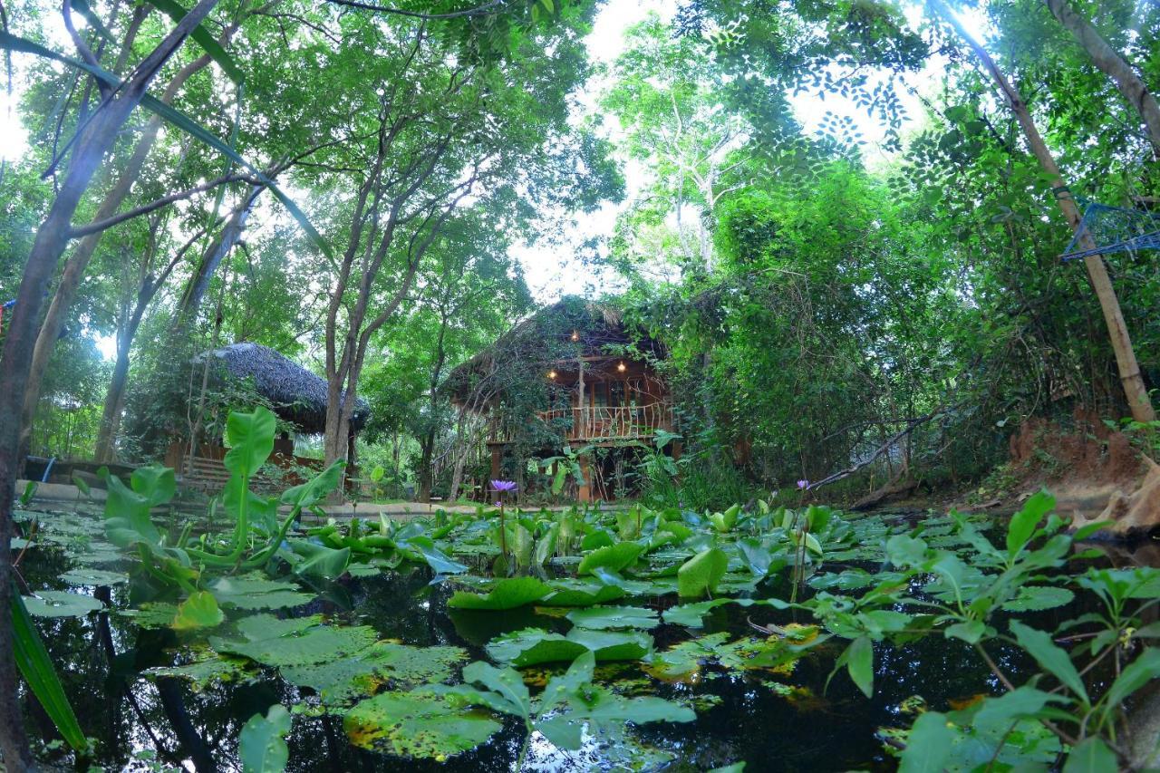Habarana Tree House Mutu Village Zewnętrze zdjęcie